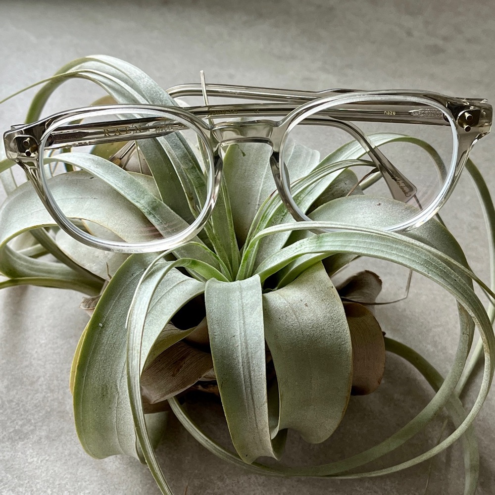 RAEN Odie Specs
